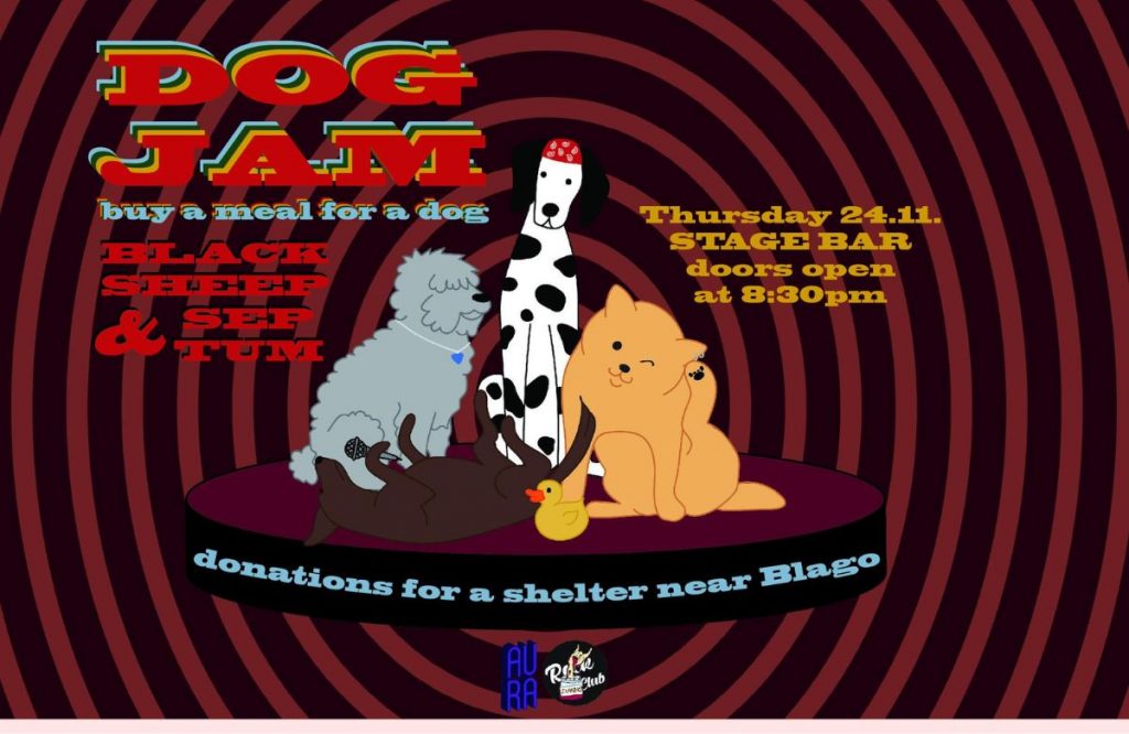 AUBGers with a Charity Concert to Help Local Dogs featured image