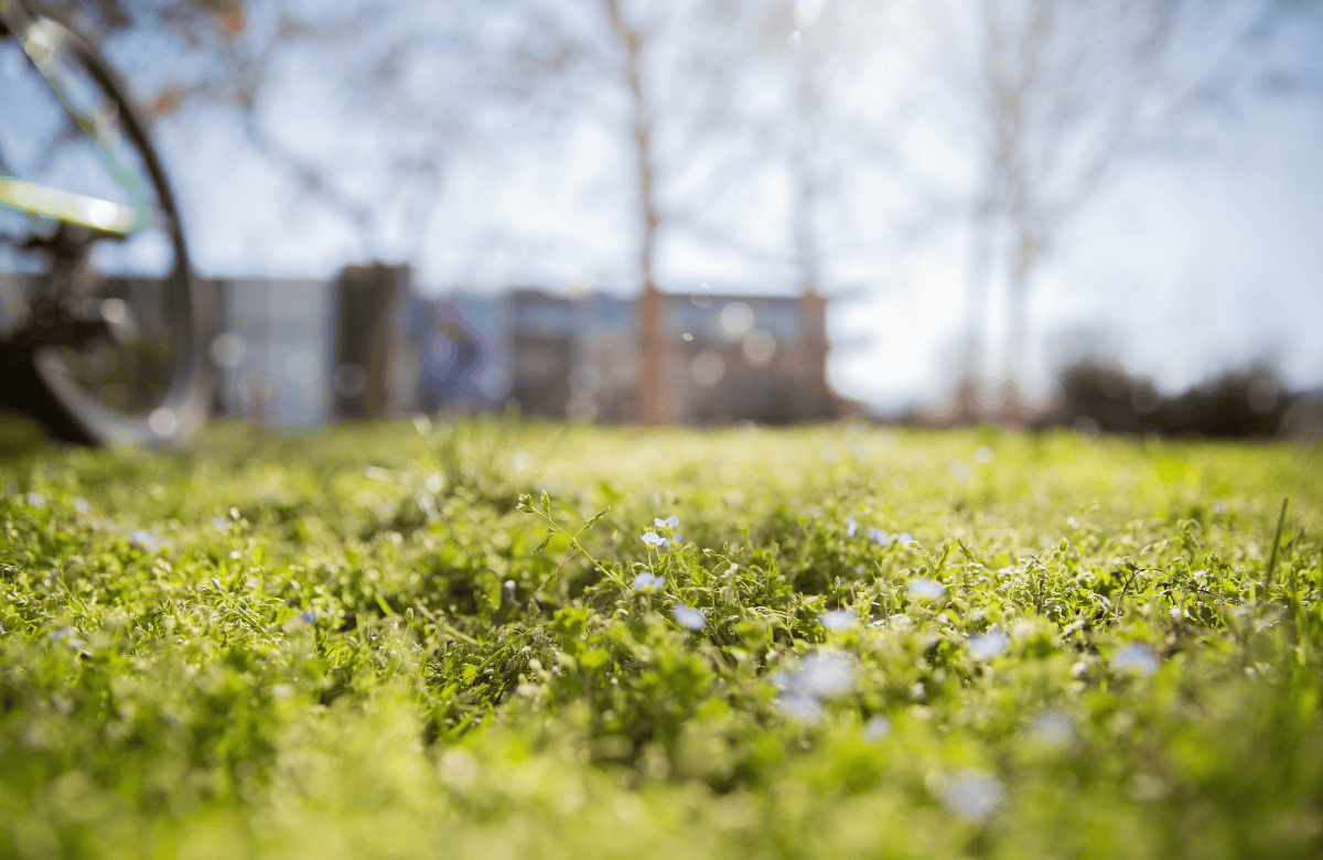 Universities Need to Take a Holistic Approach to Sustainability Education