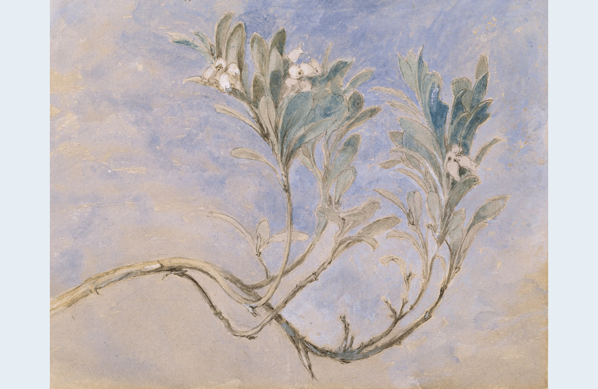 “On the creation of a moral world” | Essay by Diana Martinez Garcia